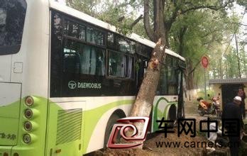 拉扯司机导致公交车撞树 冲动乘客危害公共安全获刑
