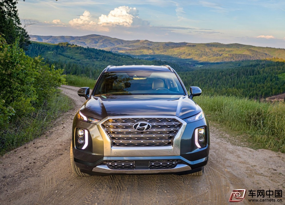 Hyundai-Palisade-2020-1600-2b