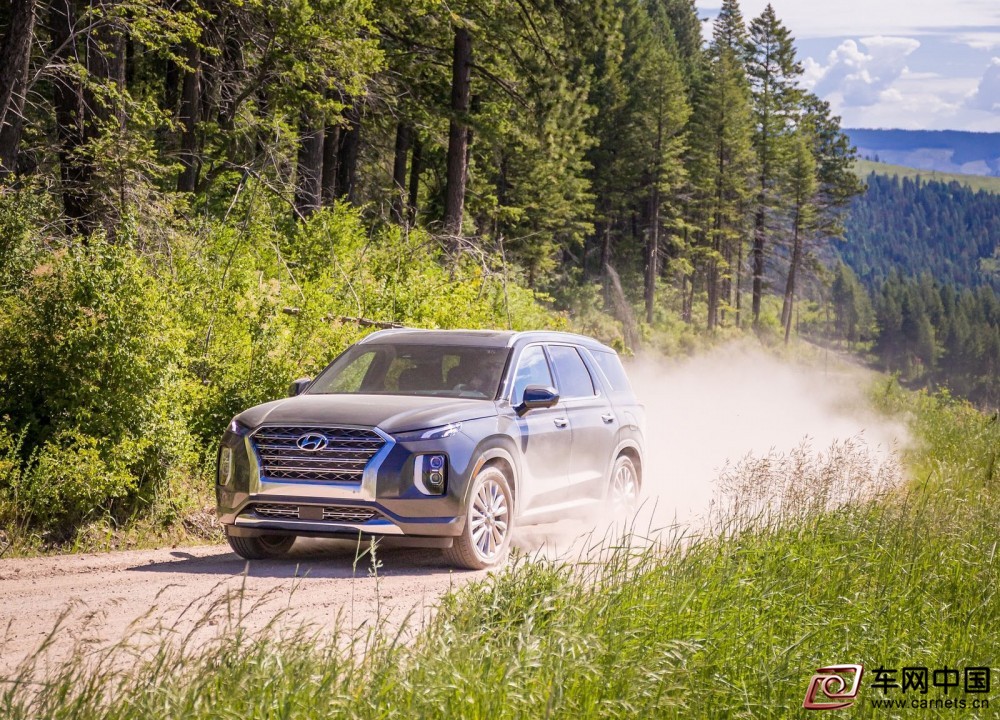 Hyundai-Palisade-2020-1600-19