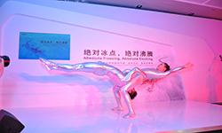 奥迪冰雪节